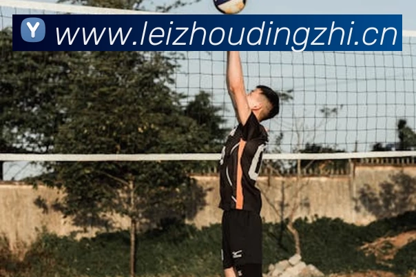 QY千亿(球友会)官方网站平台生态图